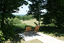pavot-uitzicht-new!